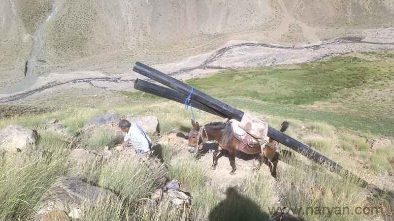 Lolehkeshisioliz_tabestan1392 (2).jpg